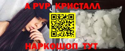 гашик Моздок
