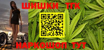 гашик Моздок