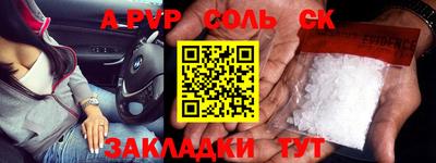 гашик Моздок