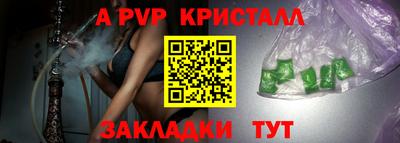 гашик Моздок