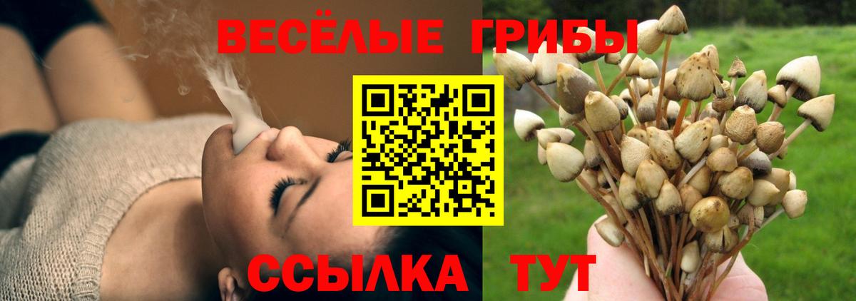 Улан-Удэ  Галлюциногенные грибы Psilocybe  Вход с VPN 